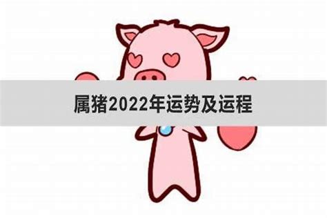 猪年2024运程|属猪人2024年运势运程详解 2024生肖猪全年运程